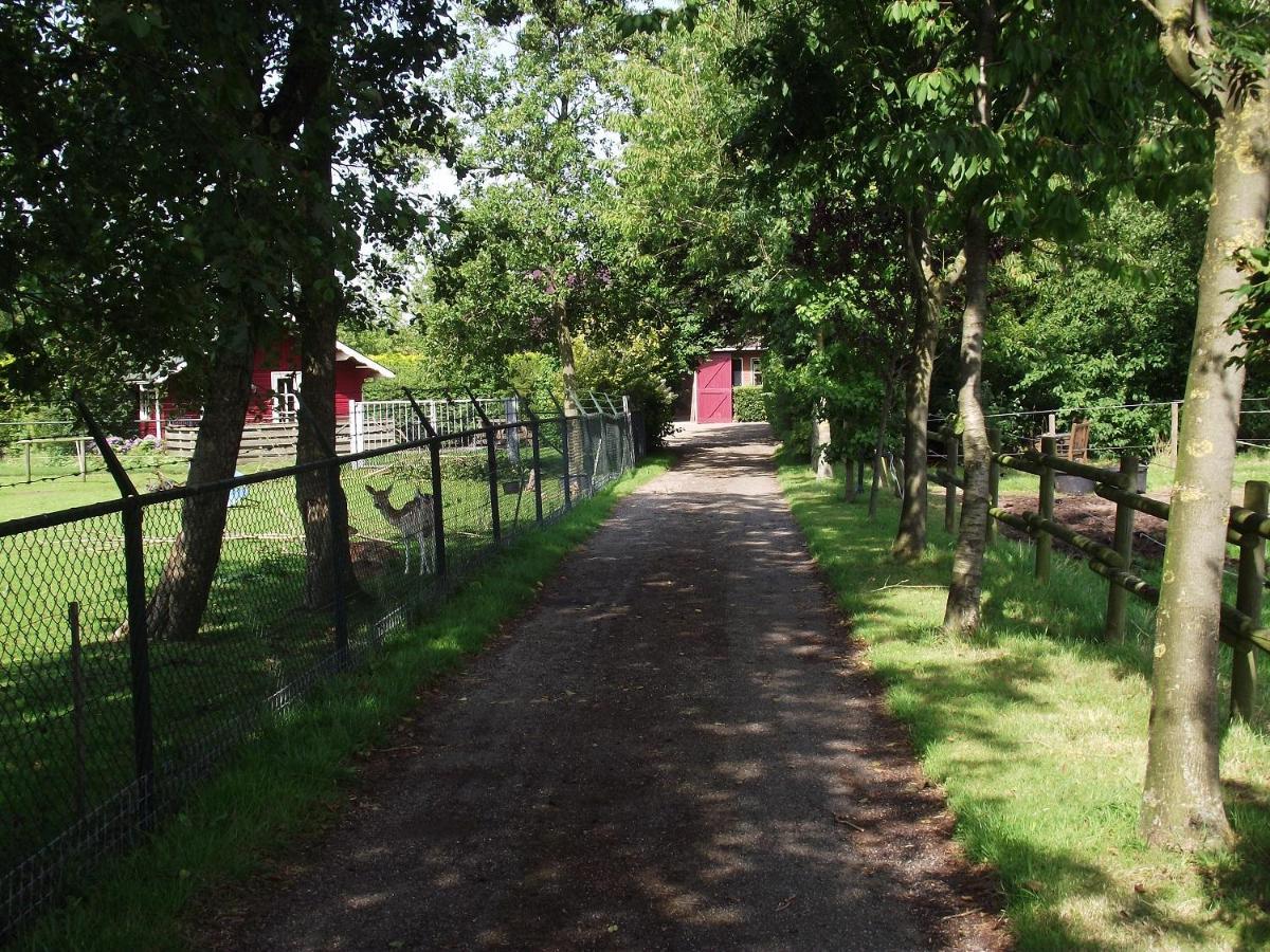 Vakantiehuisjes Landgoed Sonneborghe Kollumerzwaag Exterior photo